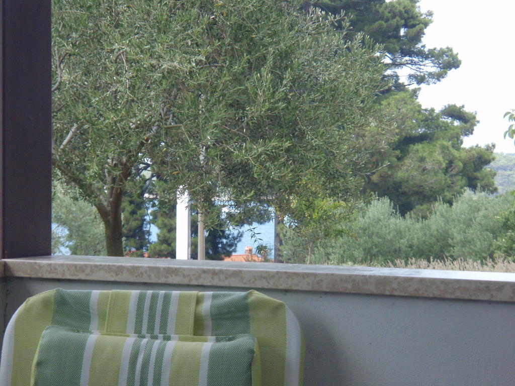 Guest House Zohil Rovinj Rom bilde